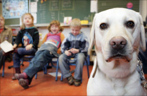 Hond in de klas Sophia SnuffelCollege