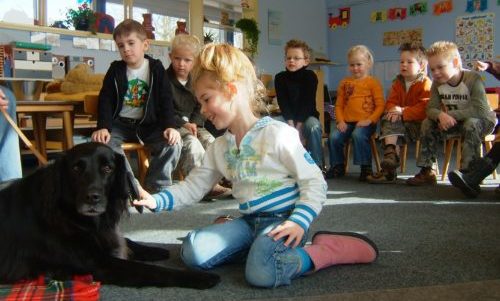 Hond in de klas bij het Sophia SnuffelCollege