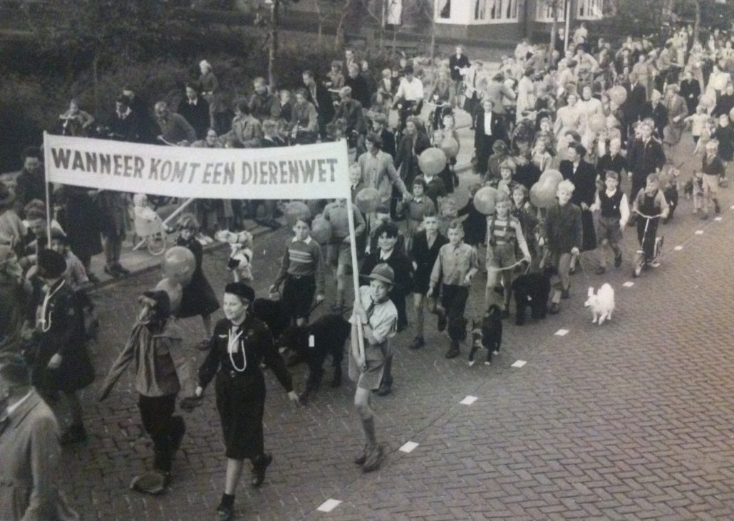 Wet dieren successen