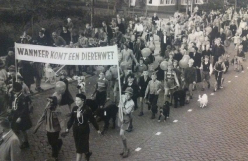 Wet dieren successen