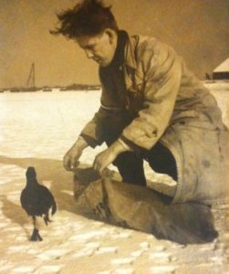 Winterhulp aan vogels 1956 4