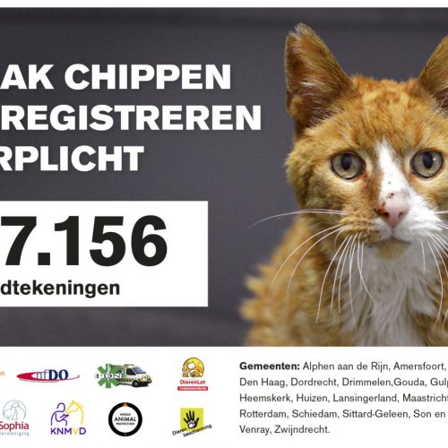 petitie chipplicht