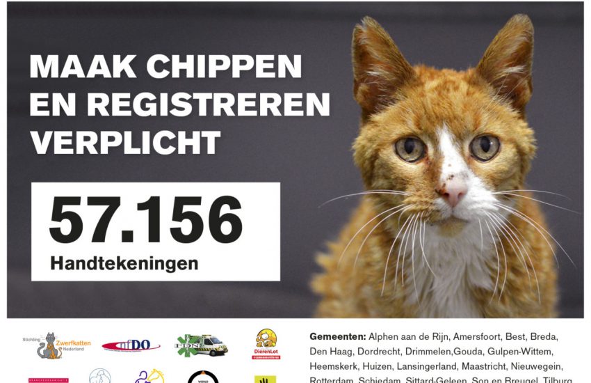 petitie chipplicht