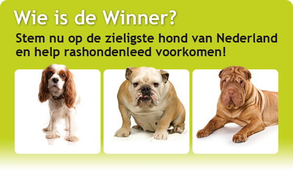 Wie is de winner 2010